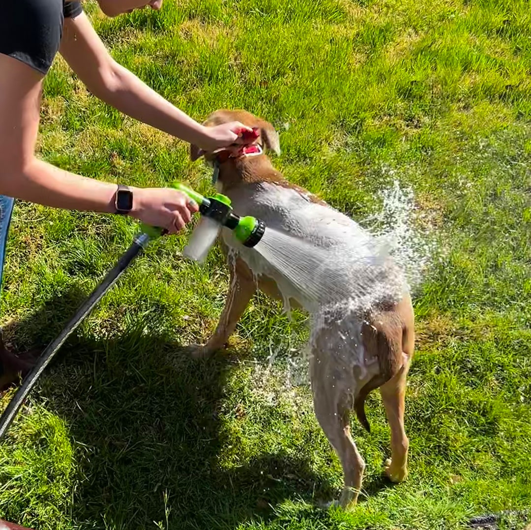 HydroJet™ - Dog Grooming Gun