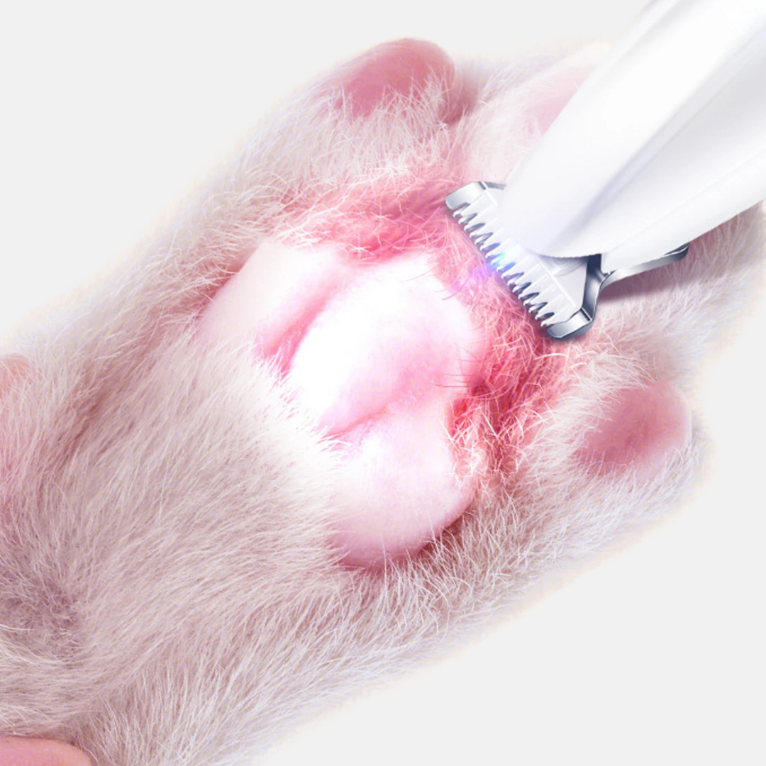 Bleemy™ - Paw care trimmer
