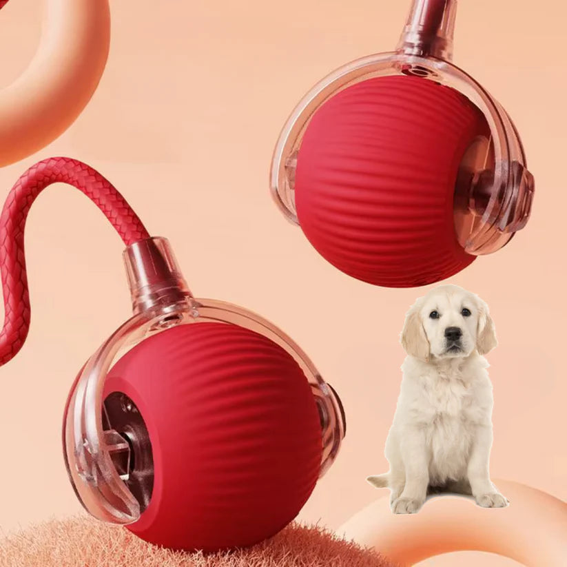 Interactive play ball for animals
