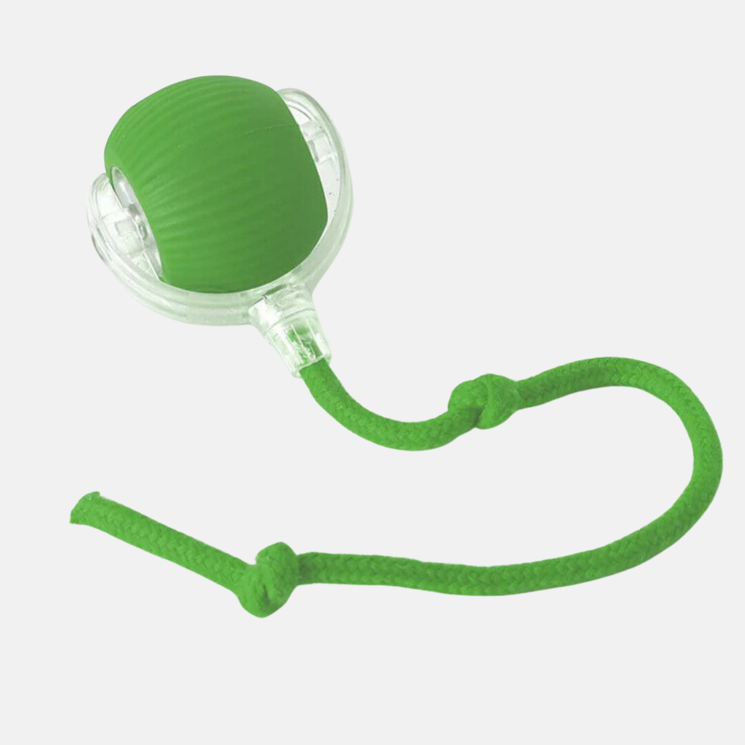 Interactive play ball for animals