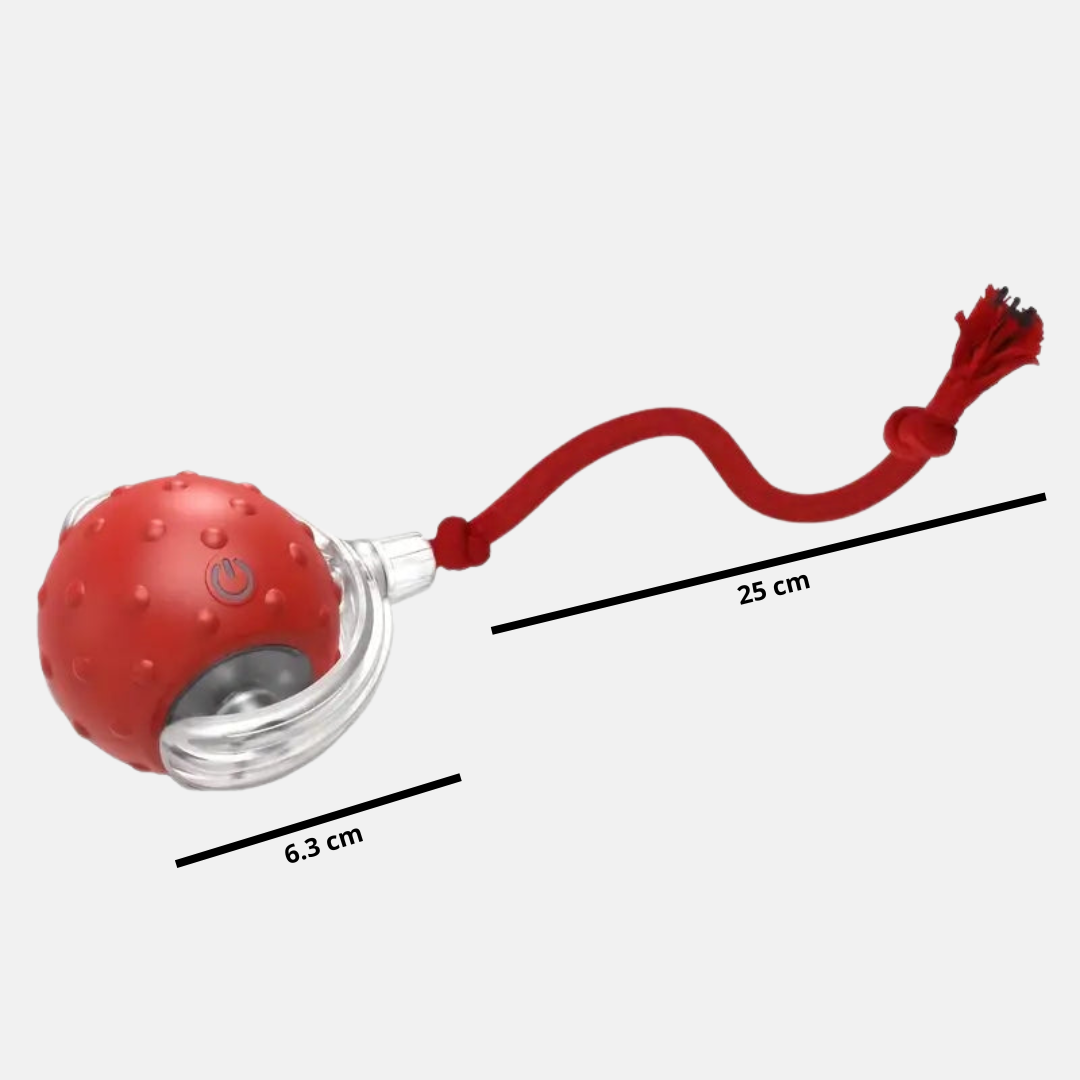 Interactive play ball for animals
