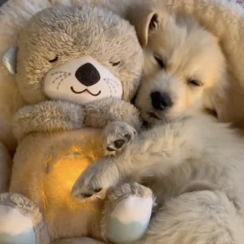 Sleepiies™ - The animal comforter