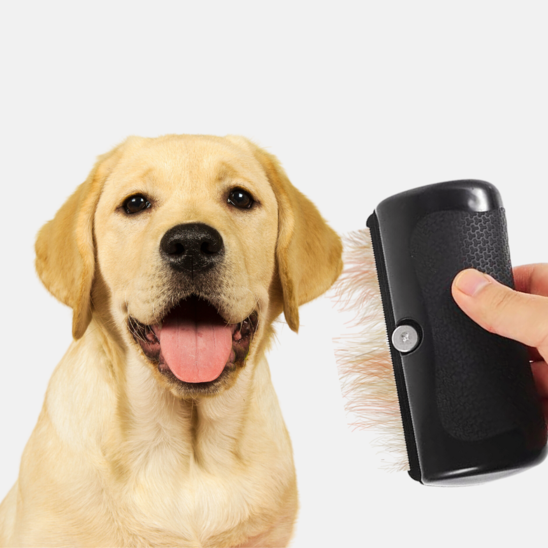 Grumify™ - Pet brush