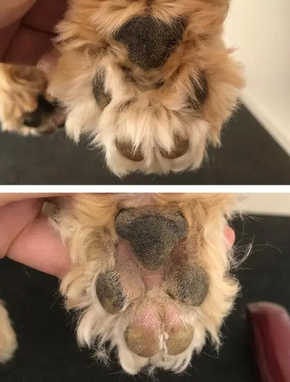Bleemy™ - Paw care trimmer