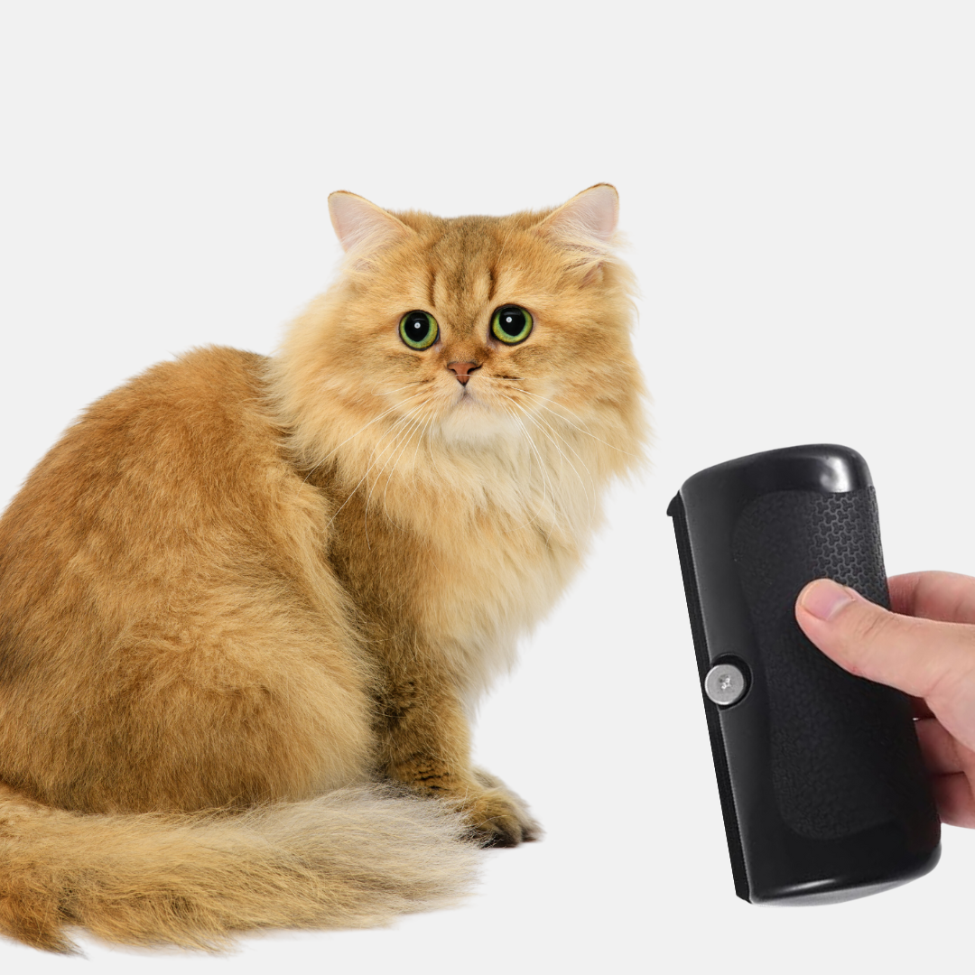 Grumify™ - Pet brush