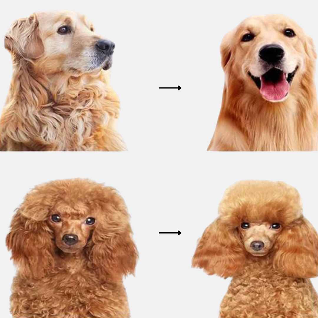 Grumify™ - Pet brush