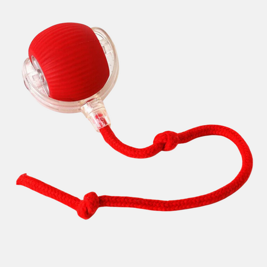 Interactive play ball for animals