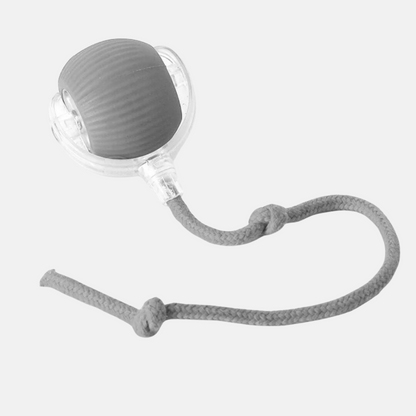 Interactive play ball for animals