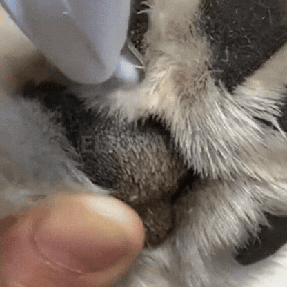 Bleemy™ - Paw care trimmer