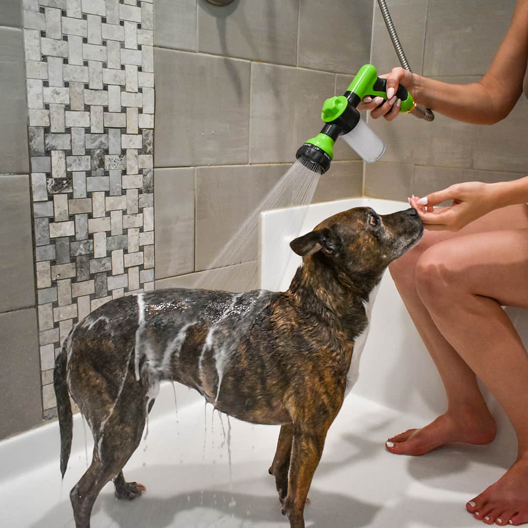 HydroJet™ - The No. 1 dog groomer
