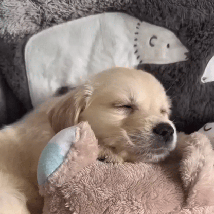 Sleepiies™ - The animal comforter