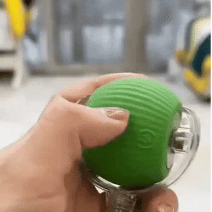 Interactive play ball for animals