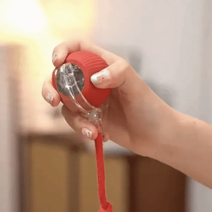 Interactive play ball for animals